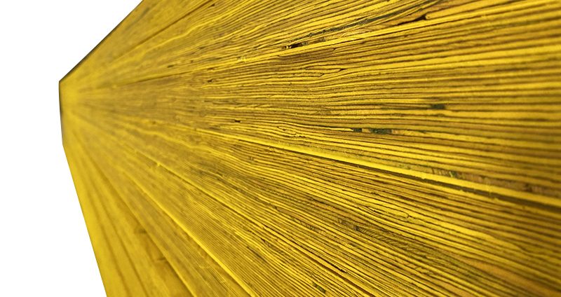 Revolutionary Structural LVL: The Future of Modern Construction